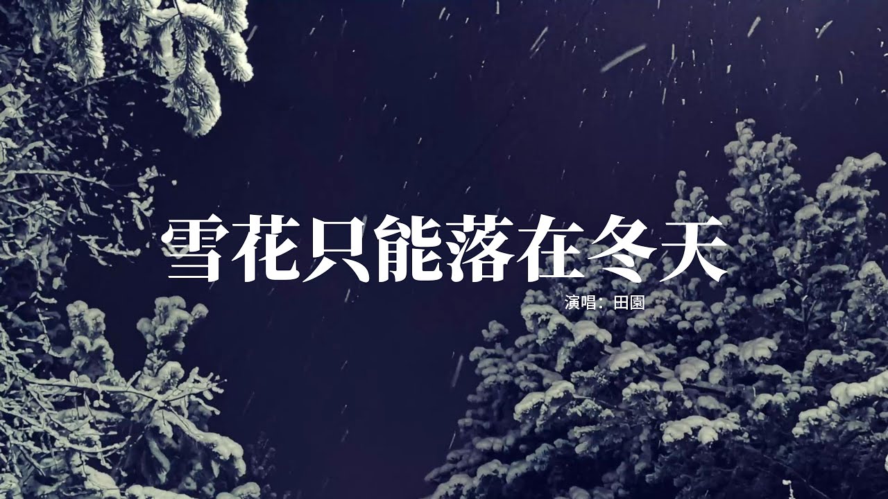 田園 - 雪花只能落在冬天『我的愛像雪花只能落在那一個冬天，那思念融化成眼淚流在沒有你的夜，你的愛離開我與她奔向下一個季節，就連背影都沒與我說再見。』【動態歌詞MV】