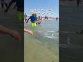 ظهور مخلوق غريب في شاطئ طنجة اكسبلور Lifeisbutadream Maroc Summer Viral Viralvideo ترند 