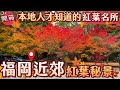 福岡近郊紅葉景點🍁 | 竟然沒人？拍照完全不用排隊 | 被低估的賞楓秘景 | 九州紅葉景點