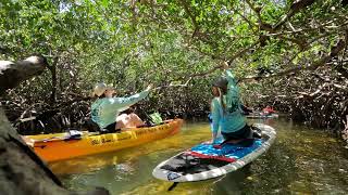 MDI Dive Crew Paddle Boarding in Tavernier, Florida
