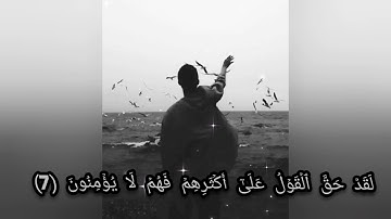 القارئ بلال دربالي سورة يس حالة واتس
