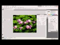 Photoshop CS5 - Phan 1 - Bai 2 - Điều chỉnh CS5 theo ý mình
