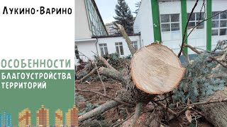видео: ОСОБЕННОСТИ БЛАГОУСТРОЙСТВА ЛОСИНО-ПЕТРОВСКОГО картинка: ОСОБЕННОСТИ БЛАГОУСТРОЙСТВА ЛОСИНО-ПЕТРОВСКОГО