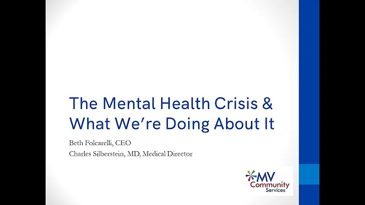 The Mental Health Crisis & What We're Doing About It