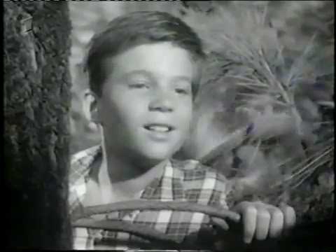 Pidax - Fury - Die Geschichte eines Pferdes (1955 - 1960, TV-Serie)