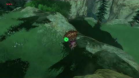 [DAY 187] of finding one korok seed everyday until Botw2 comes out