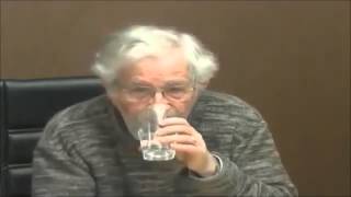 Noam Chomsky 2014  The Biology of Language