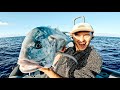 Solo Fishing GIANTS Of The Ocean