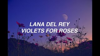 Video thumbnail of "Violets for Roses - Lana Del Rey (lyrics)"