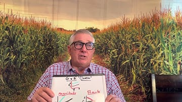 Understanding Genotype x Environment interaction - your breeding program