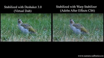 Deshaker (VD) vs Warp stabilizer (AAE6) - Stabilize & fix rolling shutter effect for a shaky video