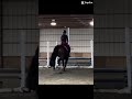 You Can Barely Tell But This Was LONG We Could Almost Fit A Whole Other Stride THANK YOU HORSE You Can Barely Tell But This Was LONG We Could Almost Fit A Whole Other Stride THANK YOU HORSE