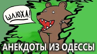Пошлые Анекдоты из Одессы №205 про ЭТО!