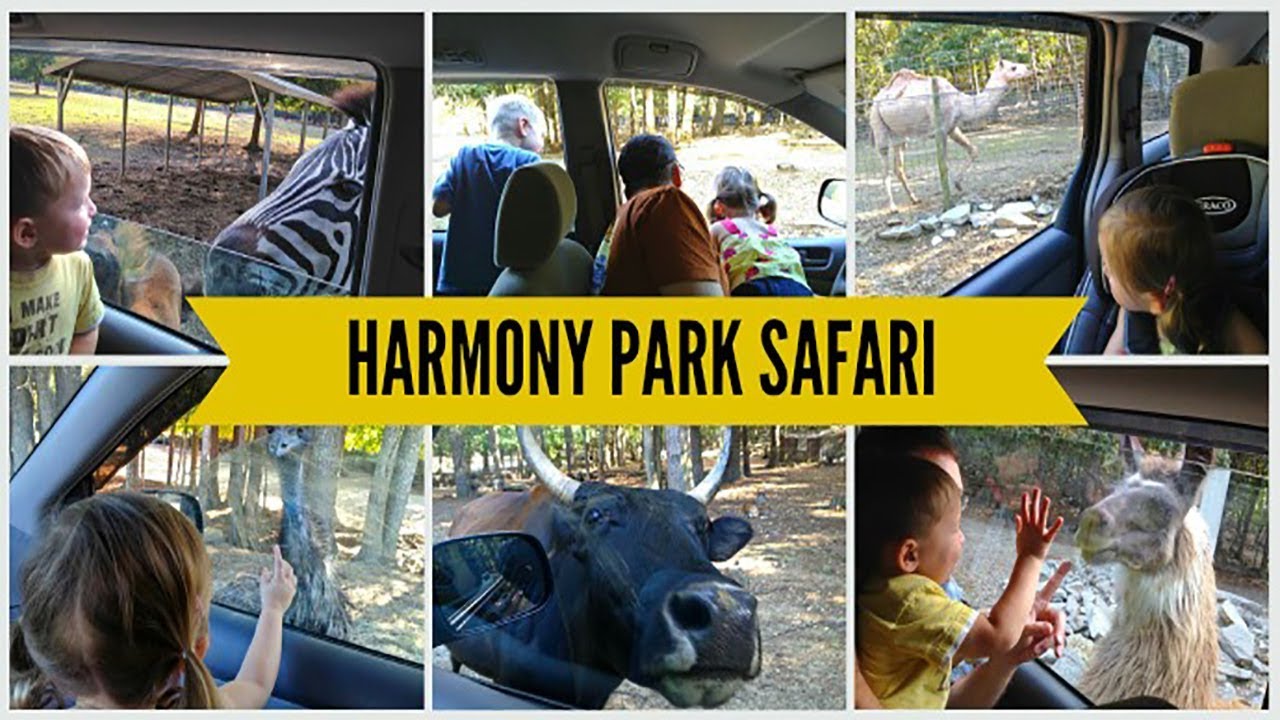 why did harmony park safari close