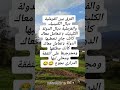 هادي كاينة مافيهاش نقاش