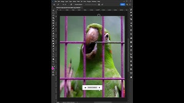 Remove Fences in Photoshop with the New Remove Tool #shorts