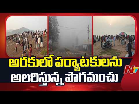 అల్లూరి జిల్లా అరకులోయ పర్యాటకులను అలరిస్తున్న పొగమంచు | Araku Valley | NTV Telugu - NTVTELUGU