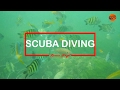 Mumbai Malvan Bike Ride | Scuba Diving | Go Pro Hero | KTM DUKE