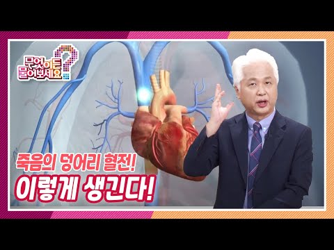 [무엇이든 물어보세요] 혈전! 이렇게 생긴다! (feat.한국산 낫토) | KBS 210923 방송