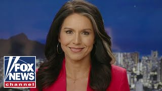 Tulsi Gabbard: Americans are seeing how much of a charade democracy is to elites