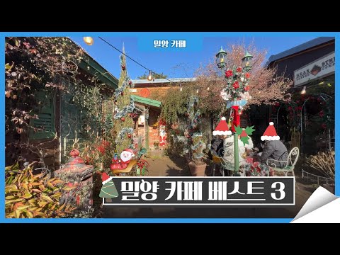 밀양 단장면의 감성 넘치는 카페들을 소개합니다! 🎄☕