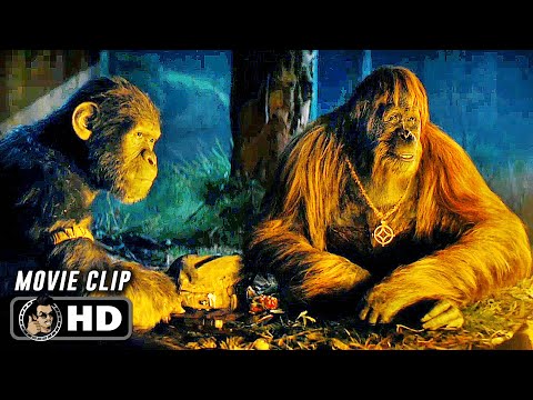 Apes Show Mercy To Human Scene | KINGDOM OF THE PLANET OF THE APES (2024) Sci-Fi, Movie CLIP HD