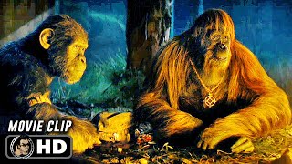 Apes Show Mercy To Human Scene Kingdom Of The Planet Of The Apes 2024 Sci-Fi, Movie Clip Hd
