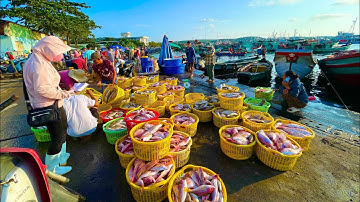 Thật Khủng Khiếp Hàng 100 Tấn Cá Và Hải Sản Buôn Bán Cho Thương Lái Tại Cảng Cá An Thới Phú Quốc