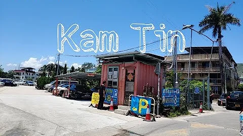 Kam Ting Photo 5