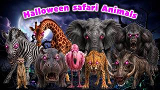 Halloween Safari Animals & Sounds 🐯 Nursery Rhymes for Toddlers 🐘 LittleKidsTV