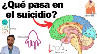 ¿Qué pasa en el cerebro de alguien que se suicida?