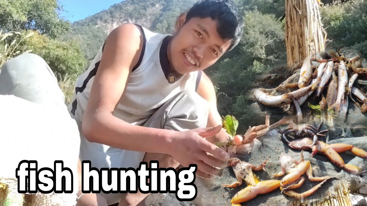 3 ओटा पाहा ।। Fish hunting hai 😄