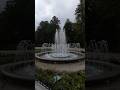 Какая красота #shorts