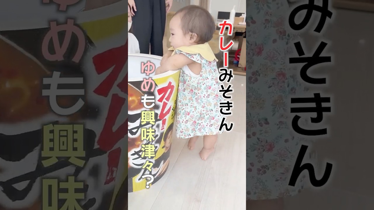 カレーみそきんに夢空も興味津々👀 #shorts #カレー #みそきん #興味津々