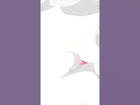 www.youtube.com