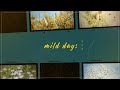 |中文歌詞| mild days - 羊文学 / 《沉默魔女的秘密》ED