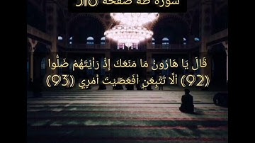 القرآن الكريم سورة طه صفحة 318