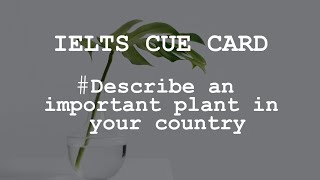 IELTS SPEAKING Cue Card - Describe an important plant in your country