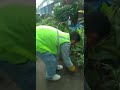 DIL BAHADUR LIMBU #GARDENER #UAE