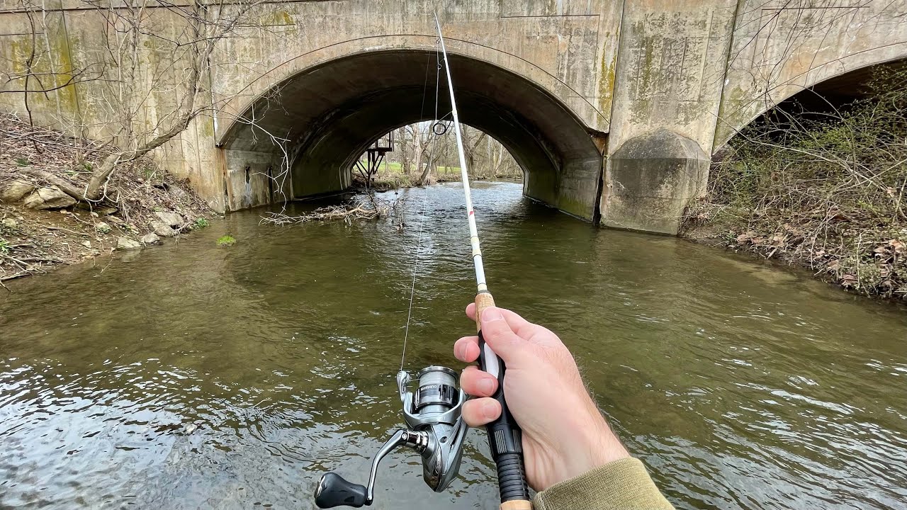 TROUT Fishing with Inline Spinners (rainbow & brown)