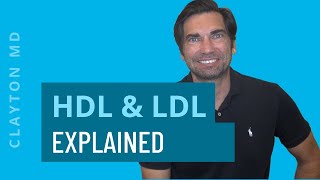 Understanding HDL & LDL Cholesterol – Cholesterol Ratios Explained by Dave Clayton, MD 5,839 views 3 years ago 13 minutes, 40 seconds