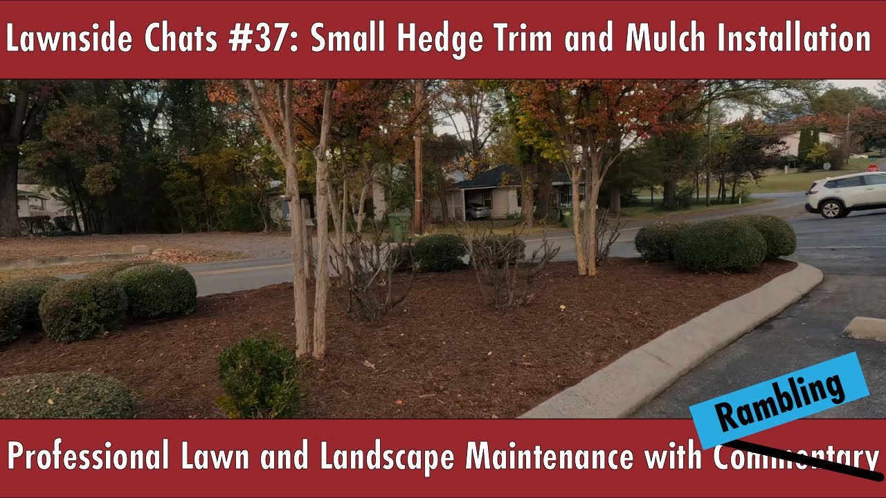 Hedge Trim and Mulch Installation Solo Lawn Care |  Lawnside Chats #37