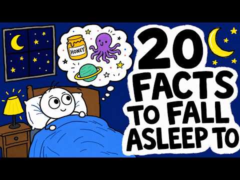 20 Random Facts That Will Break Your Brain Before Bed