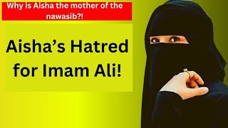 Aisha's Hatred for Imam Ali (as) from Sunni Sources