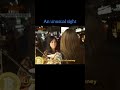 Why?? Blackpink started screaming 😱#blackpink #viral#trending #shorts #ytshorts #fyp#relatable