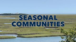 Seasonal Community Designation Brings New Pathway for Cape Housing
