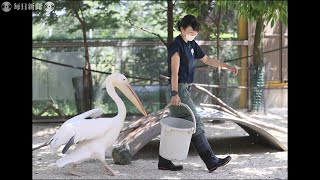 明日へ・新型コロナ　2カ月ぶりに子供の歓声「今まで聞きたくても聞こえなかった」　埼玉の動物園に日常少しずつ