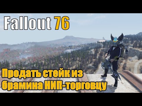 Видео: Fallout 76 ежедневные и еженедельные испытания. Продать стейк из брамина НИП-торговцу