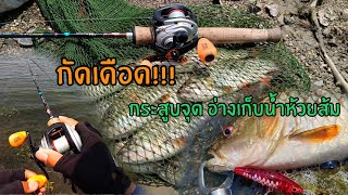 กัดเดือด!!! กระสูบจุดอ่างเก็บน้ำห้วยส้ม Abu Garcia Max STX Abu Garcia Morrum Area Marter 2-6lb