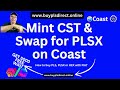 🤣How to Mint CST Token and Swap for PLSX on Coast